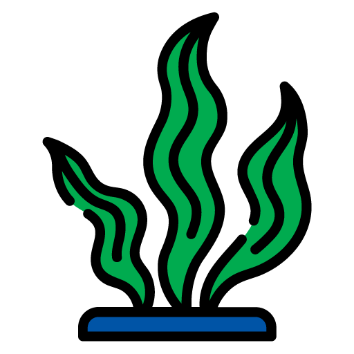 Seaweed 2.png