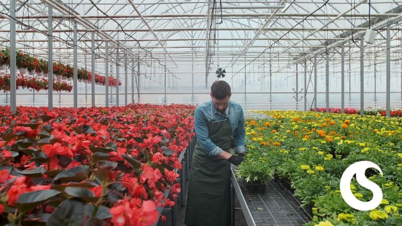 Contract Manufacturing Process For Horticultural Company